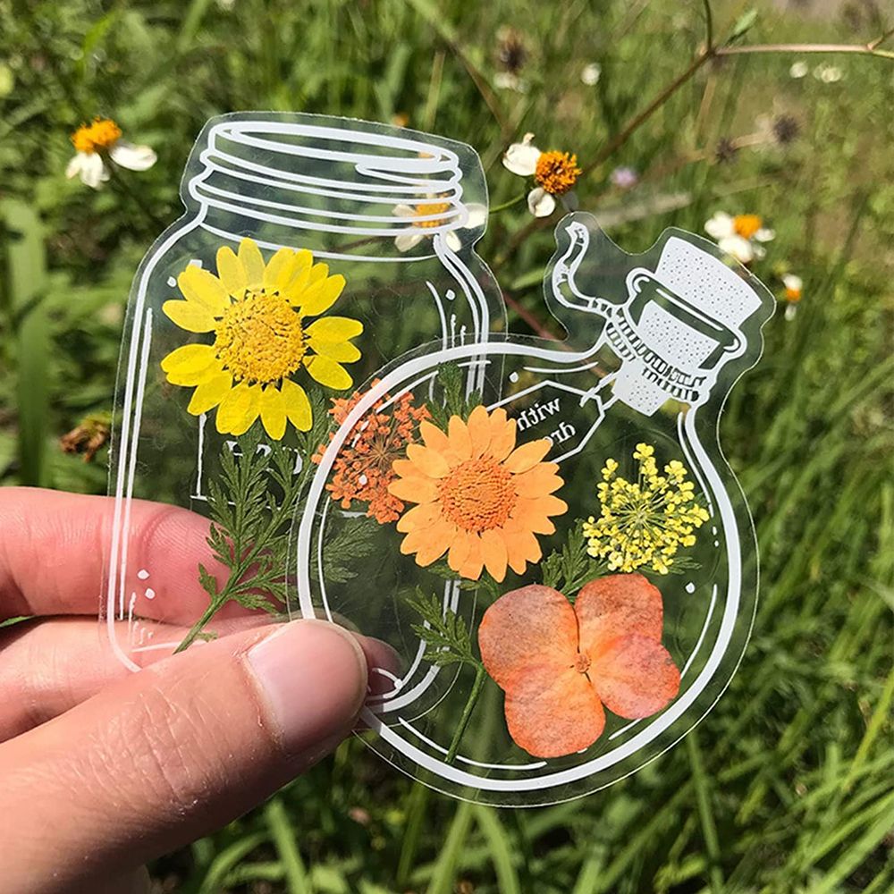 30Pcs DIY Transparent Dried Fl - Dried Flower Bookmark ulasan dan harga
